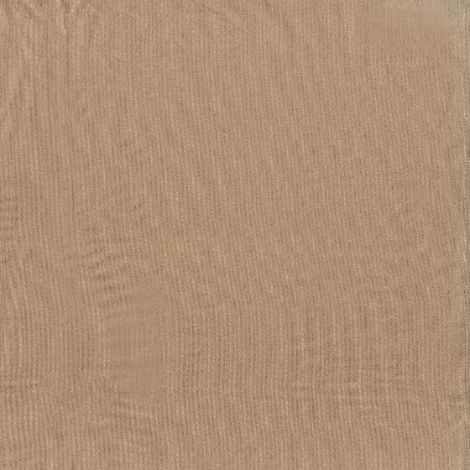 Sahara