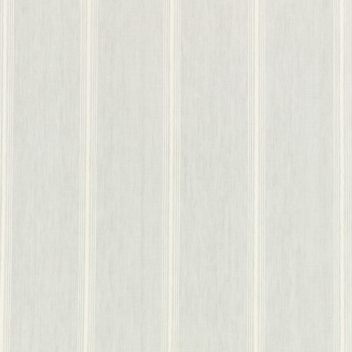 Silverbirch