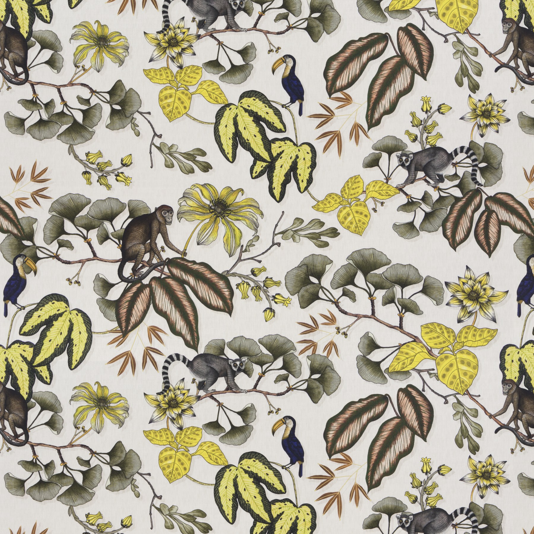 Chivasso Fantastic Madagascar