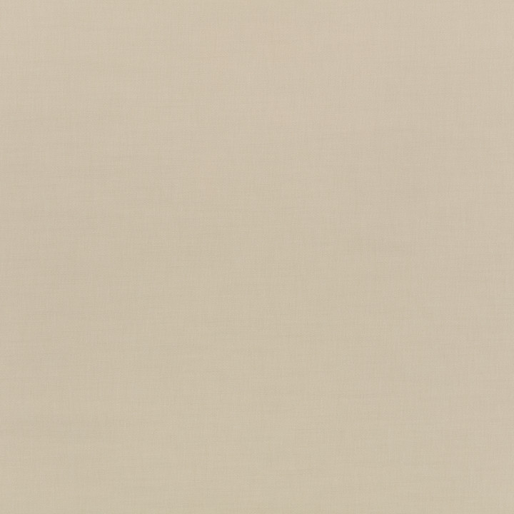 Pebble