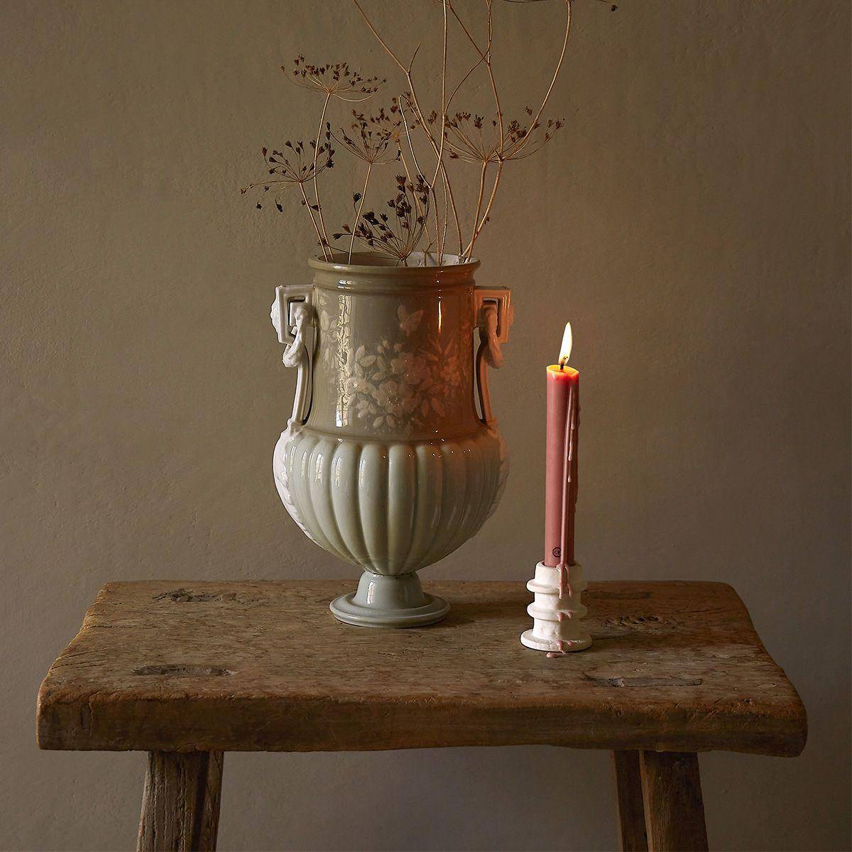 Carrière Frères Tomato (Lycopersicon Esculentum) Carrière Frères Tomato (Lycopersicon Esculentum)