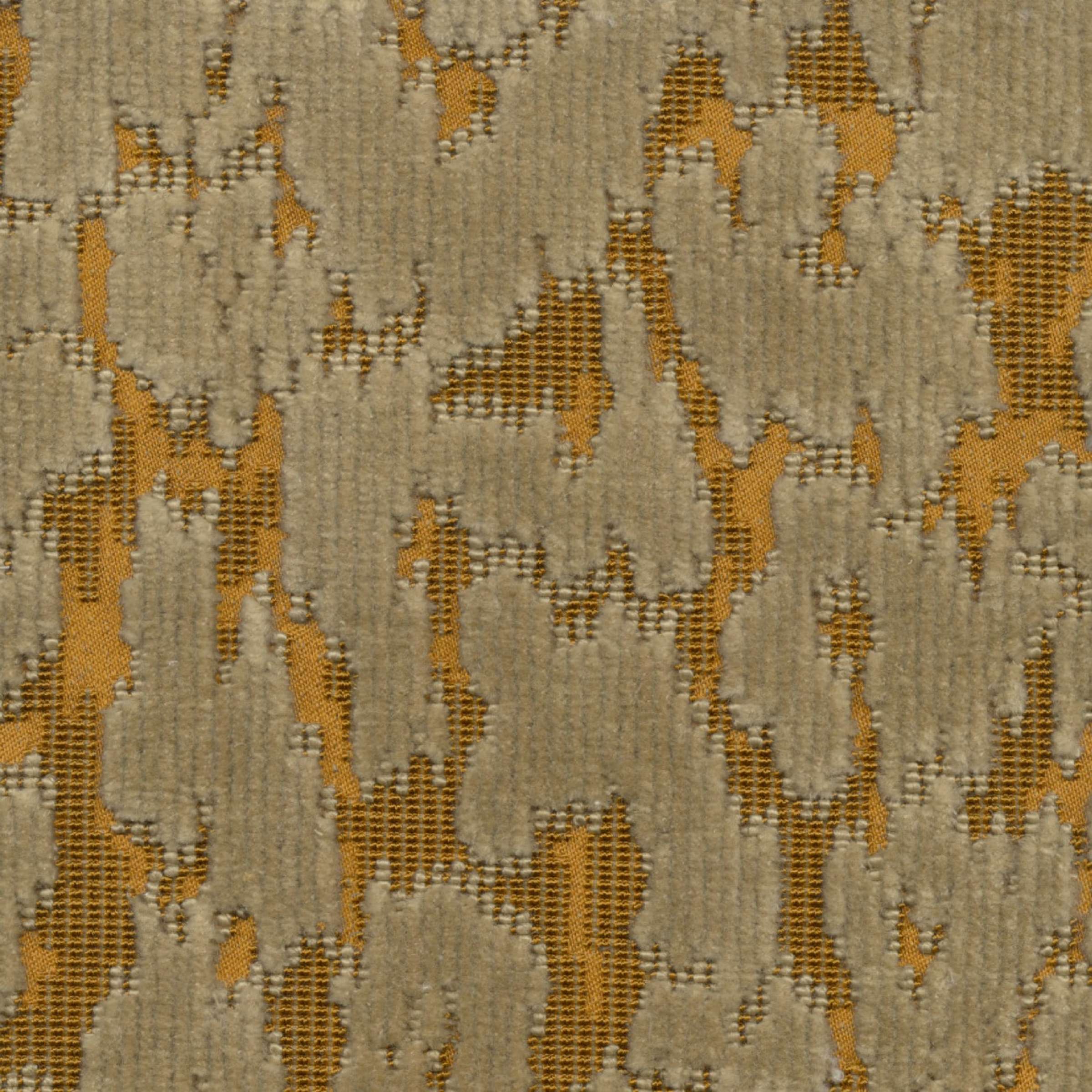 Elitis Morten Elitis Morten