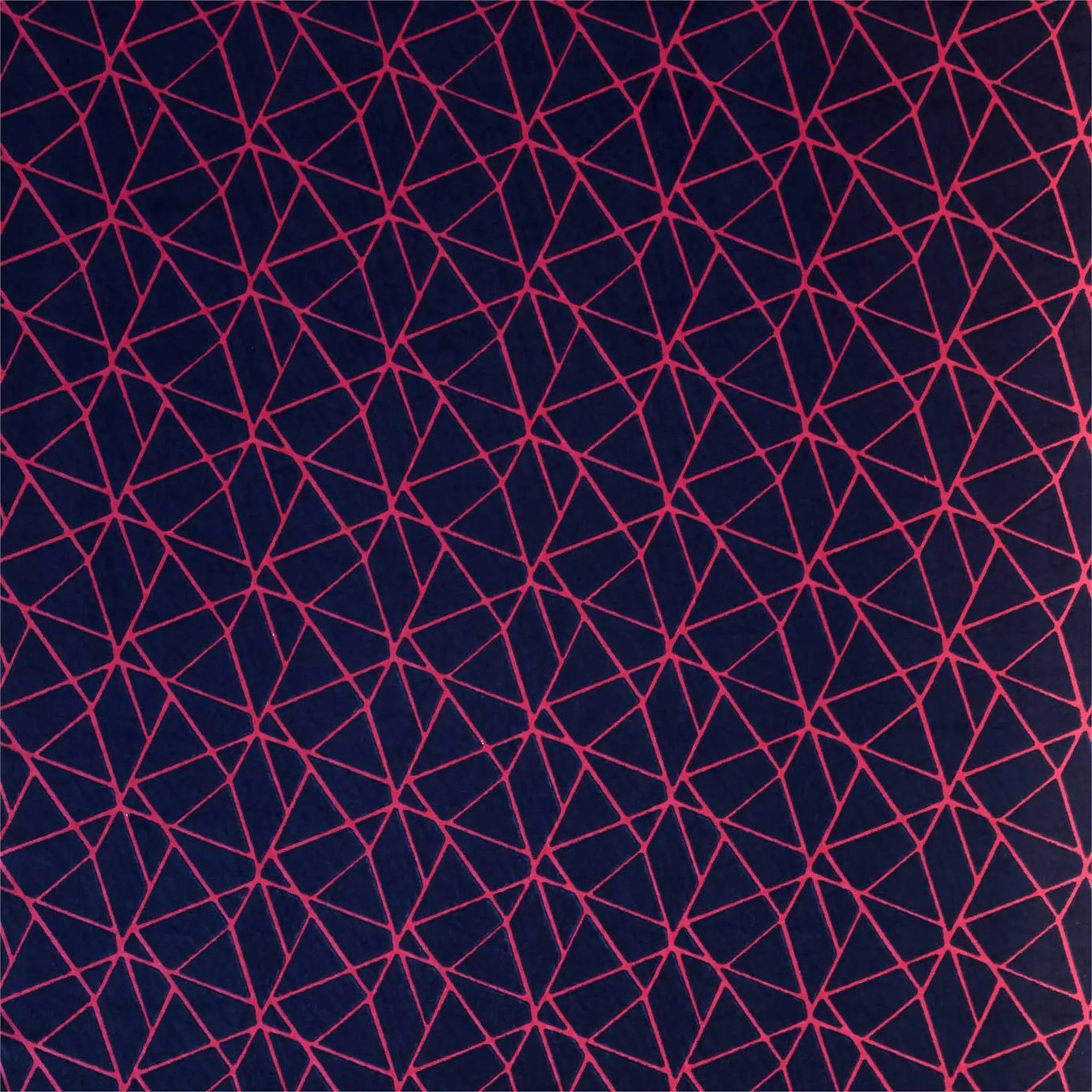 Harlequin Zola