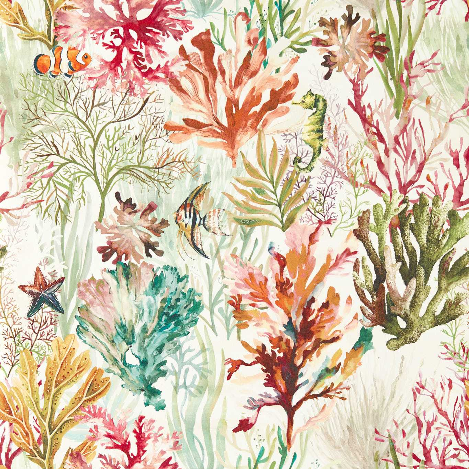 Coral