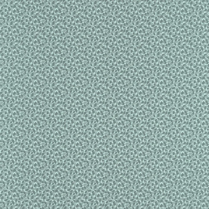 Caselio Physis