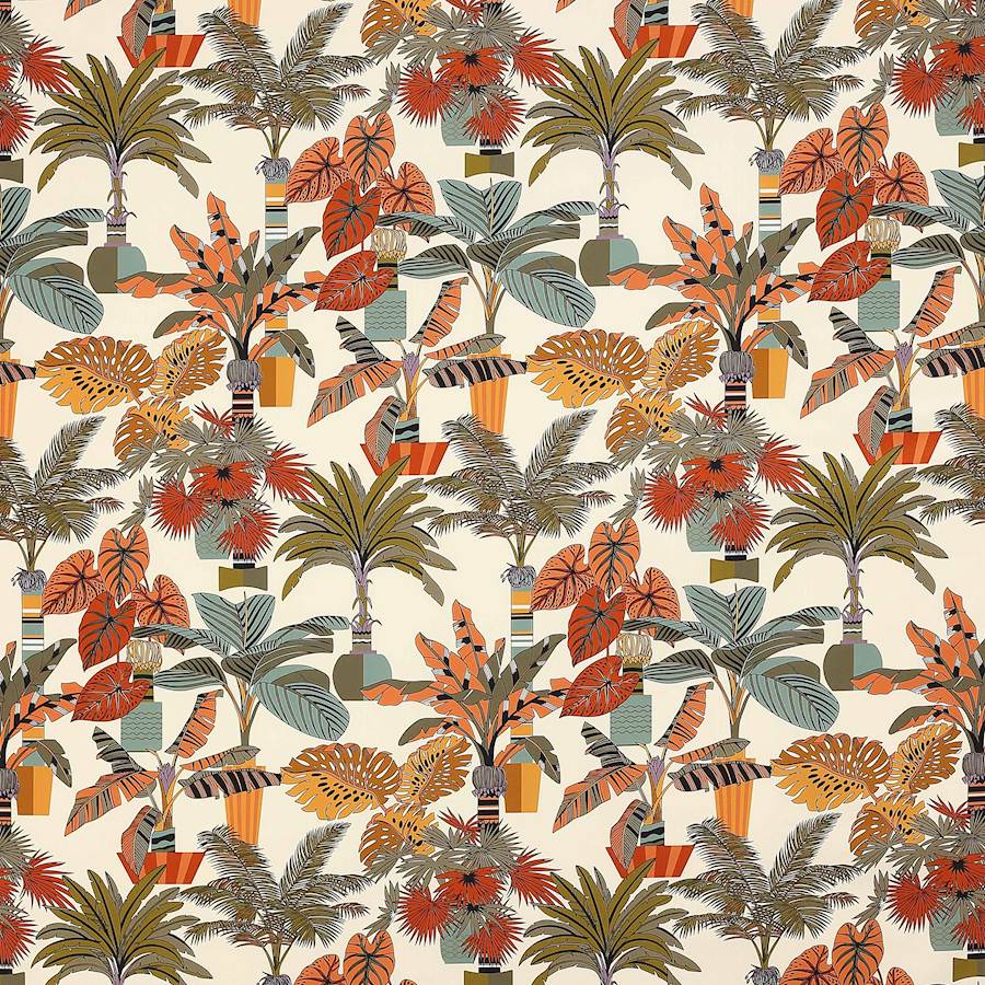 Manuel Canovas Florida  