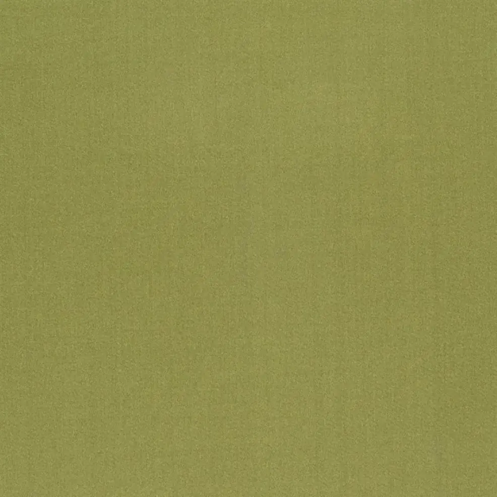 Moss