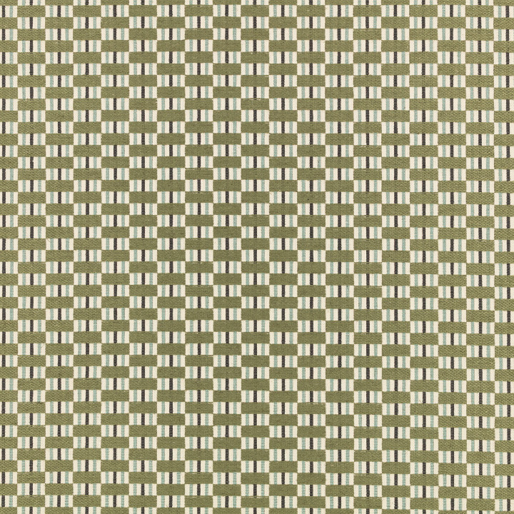 Fern