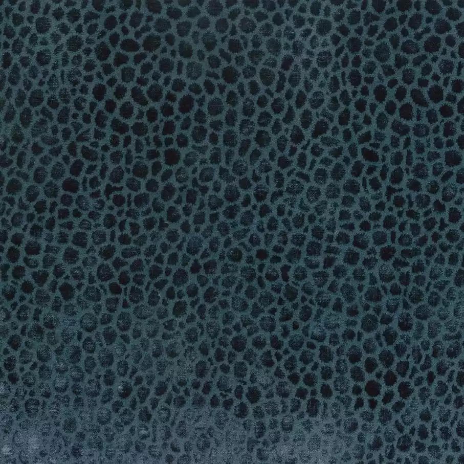 Osborne & Little Kuri