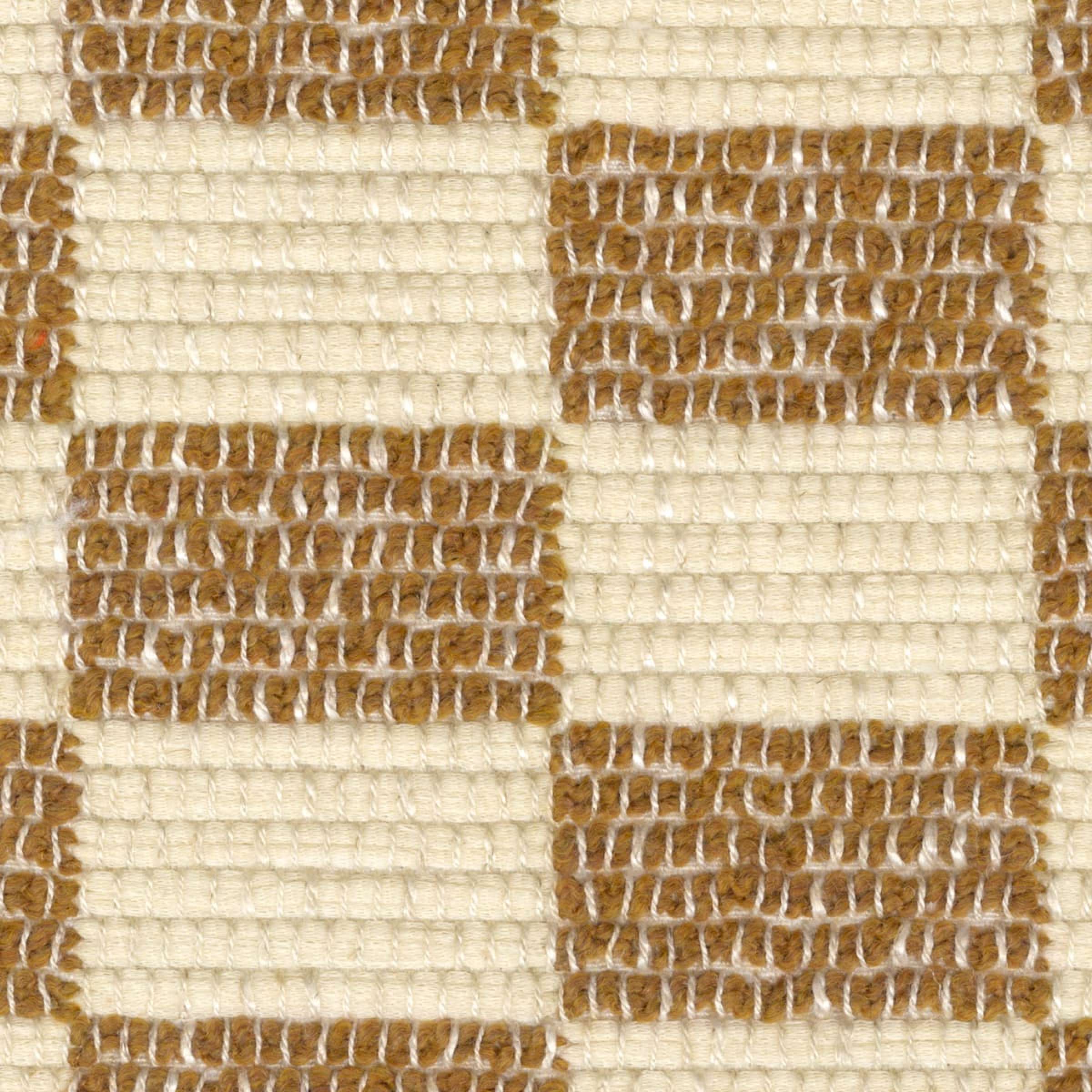 Sous la lumière brute