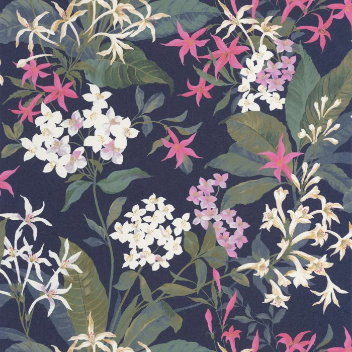 Fuchsia