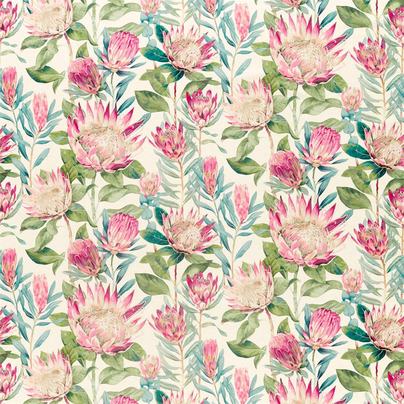 Sanderson King Protea  