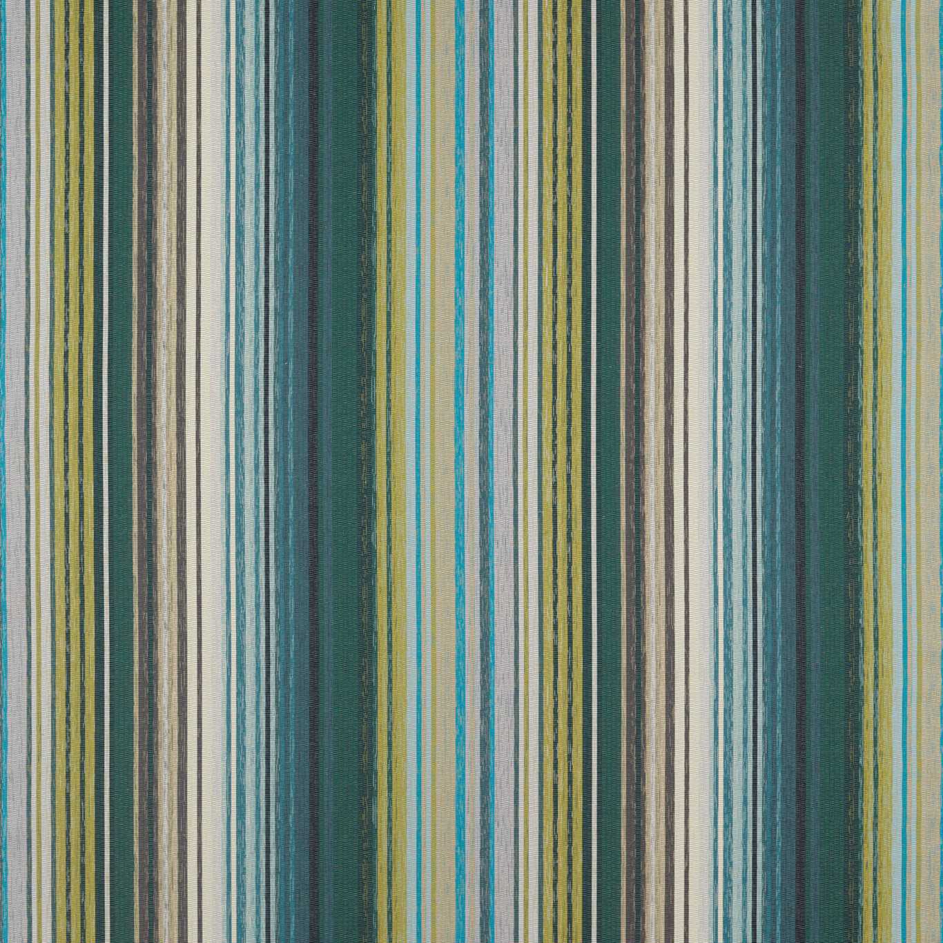 Harlequin Spectro Stripe