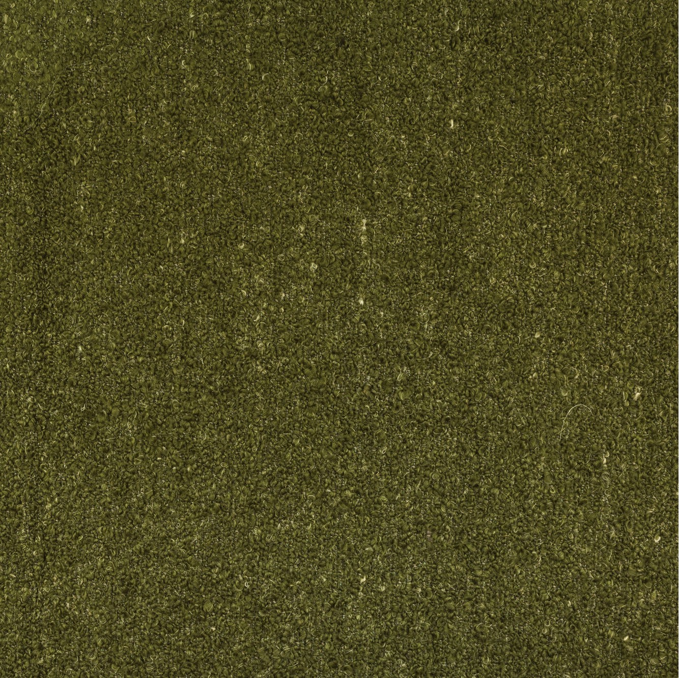 Fischbacher 1819 Boucle Sauvage