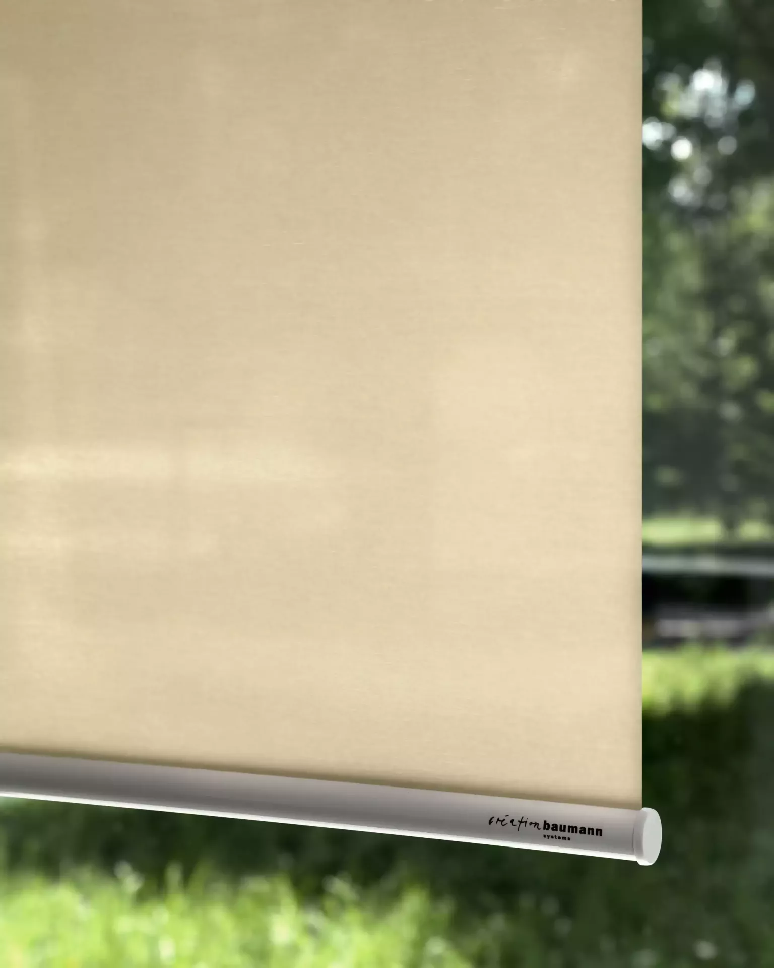 Création Baumann Master R