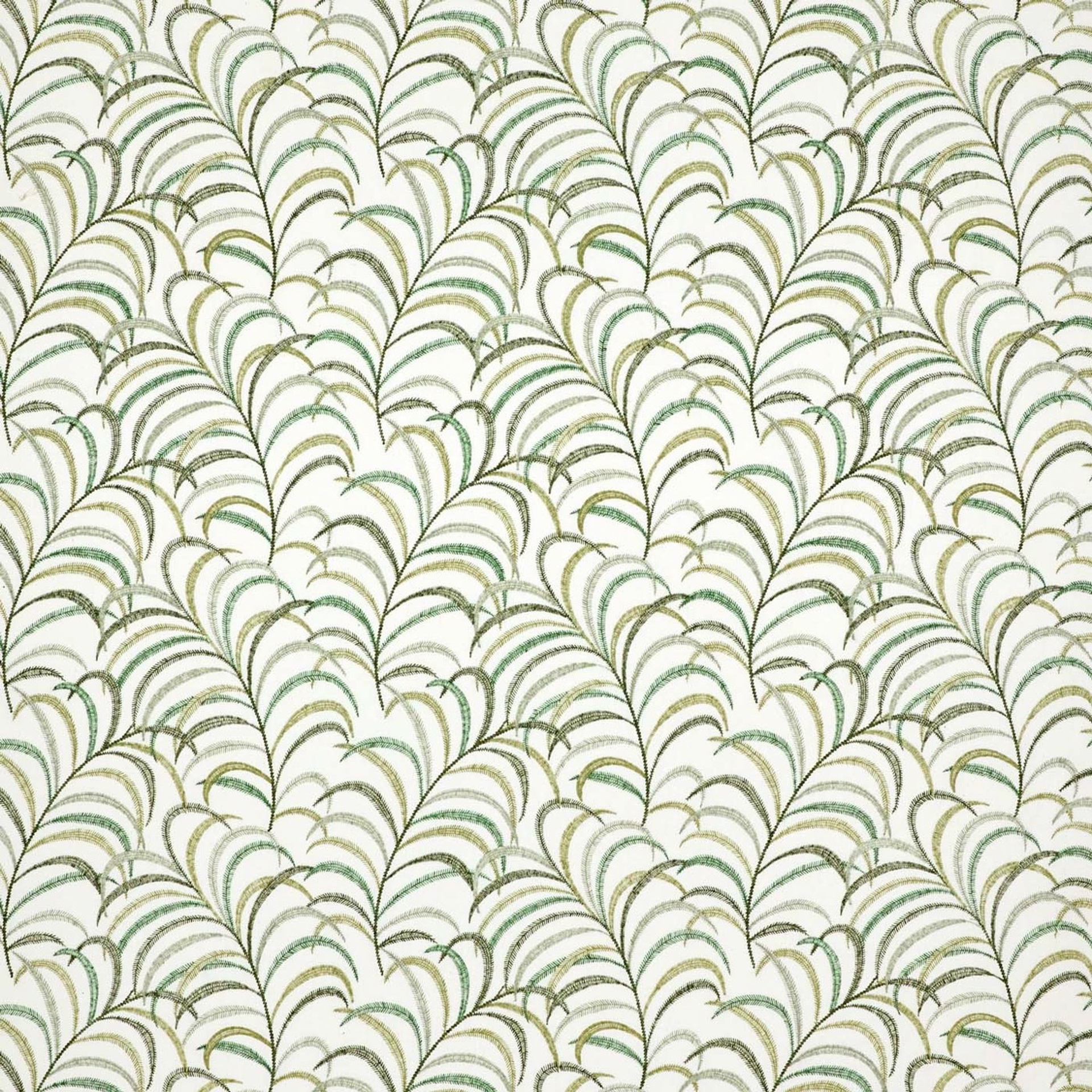 herb