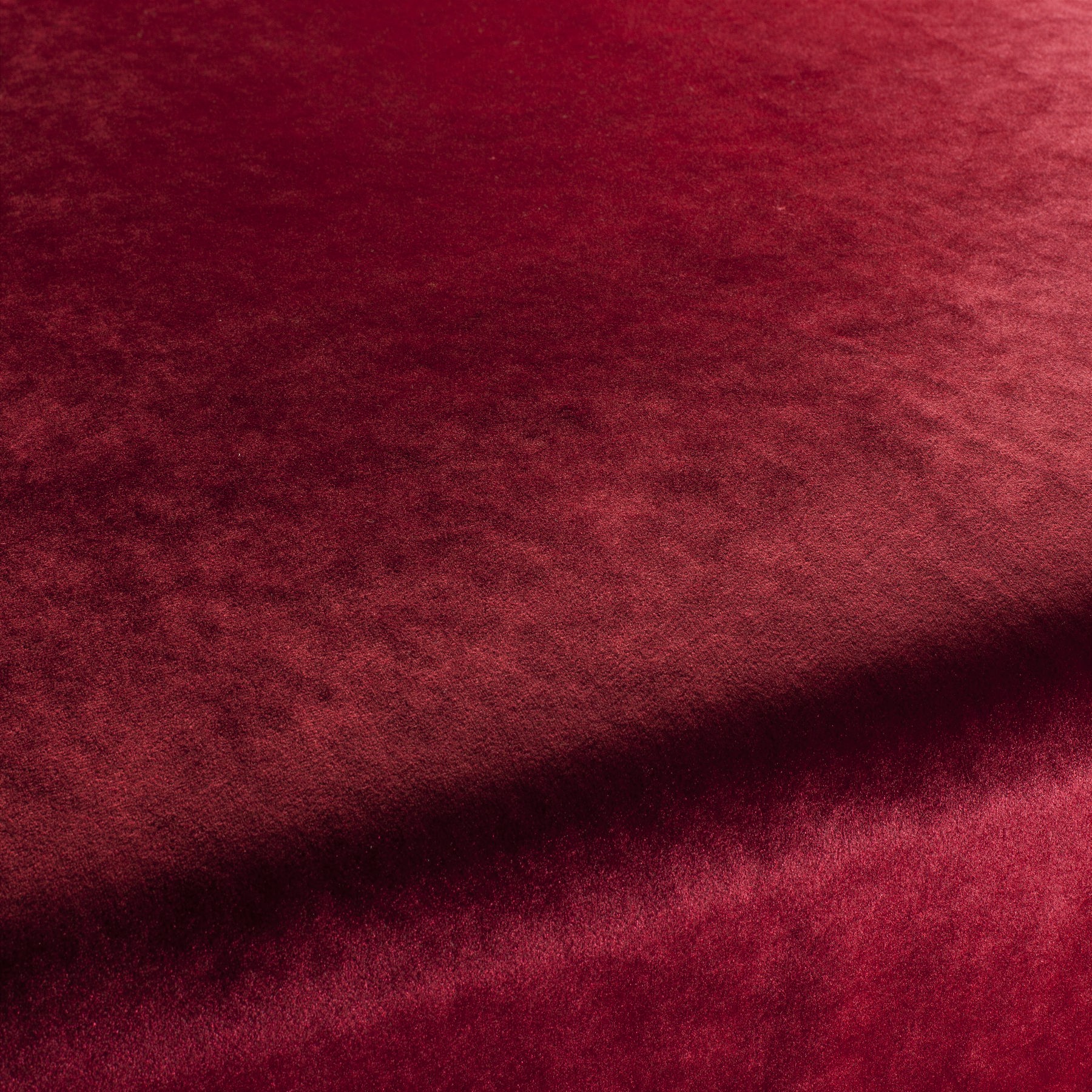 Carlucci Palazzo Velvet Reloaded