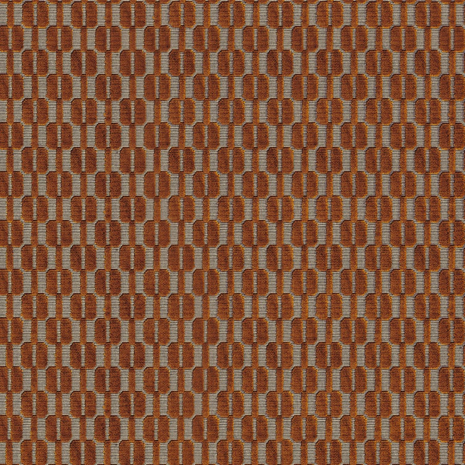 Casamance Inseparables