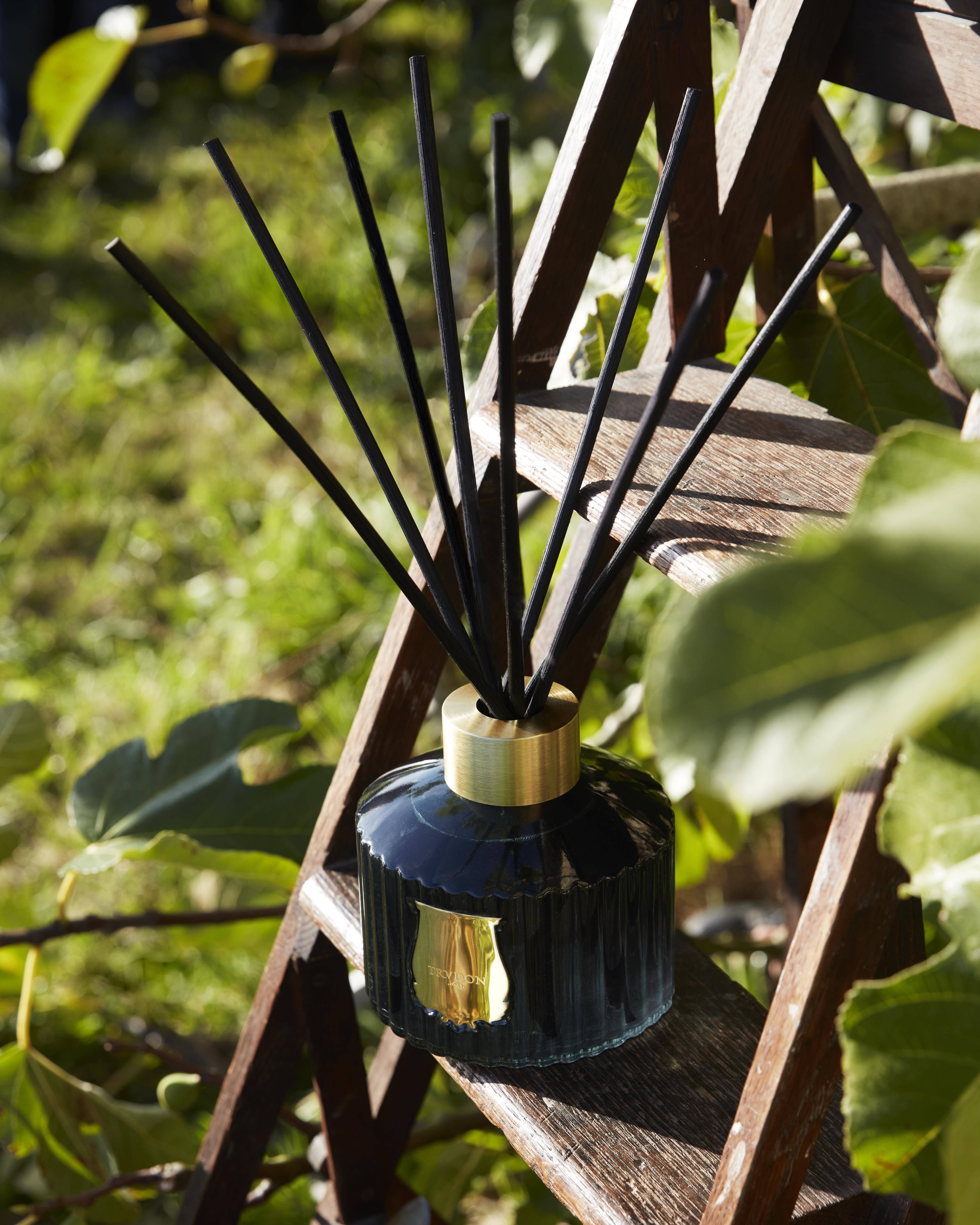 Trudon Figuerie Diffuser 350ml