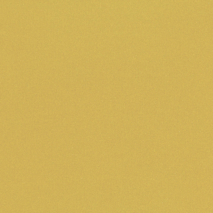 Maize