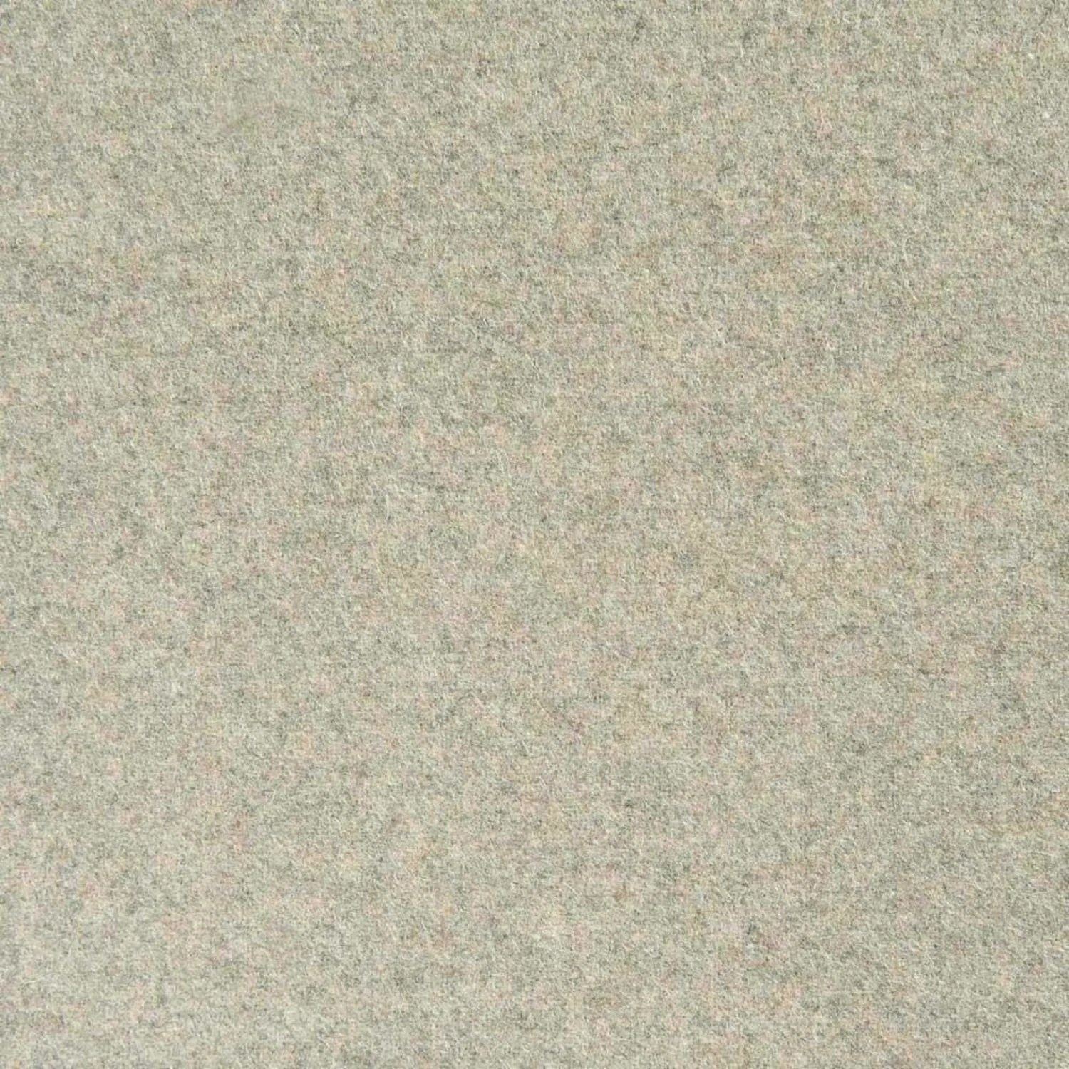 Angora