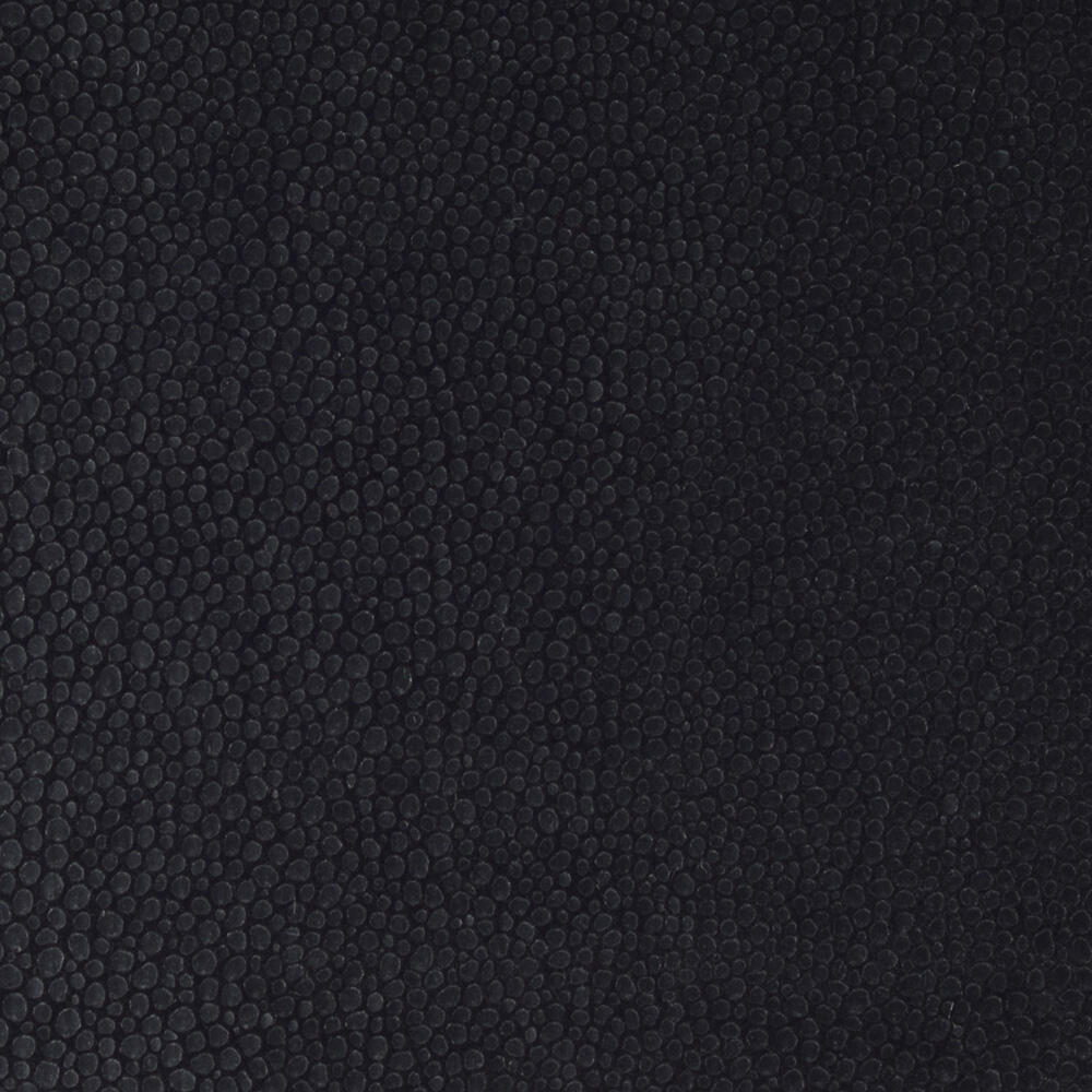 Métaphores Shagreen