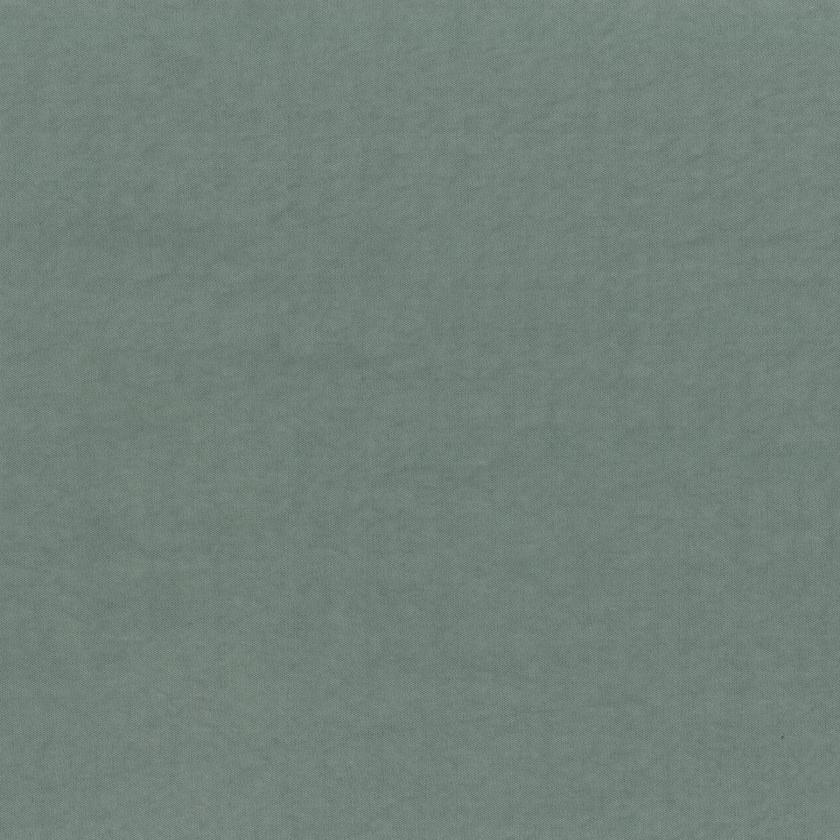 Lichene