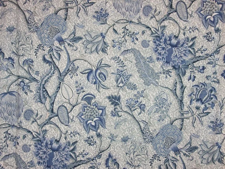 Braquenie Le grand corail camaieux