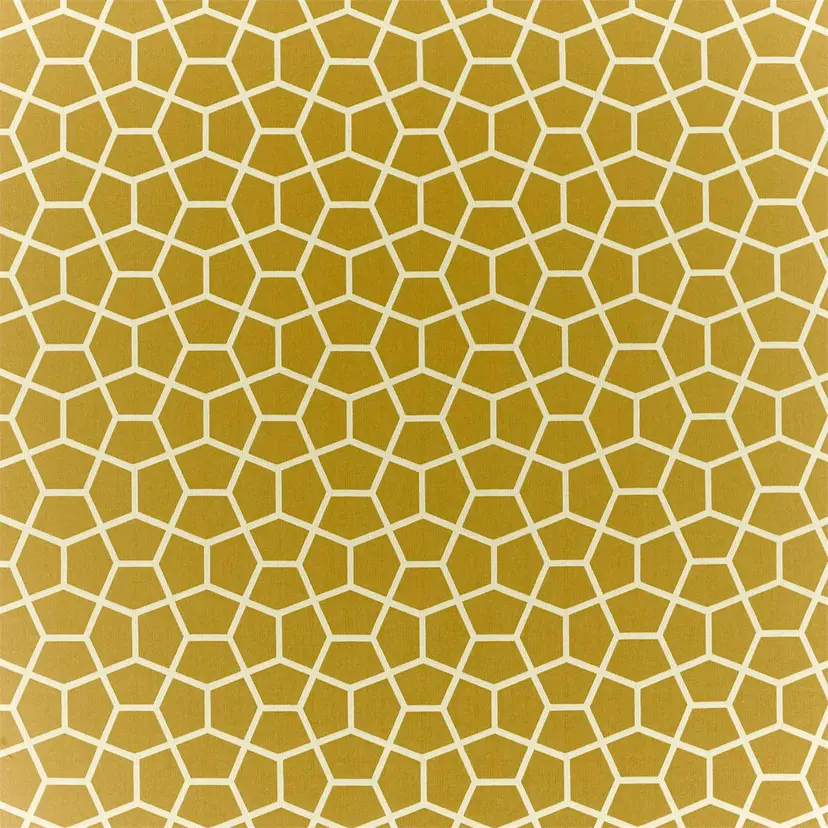 Harlequin Glyptic