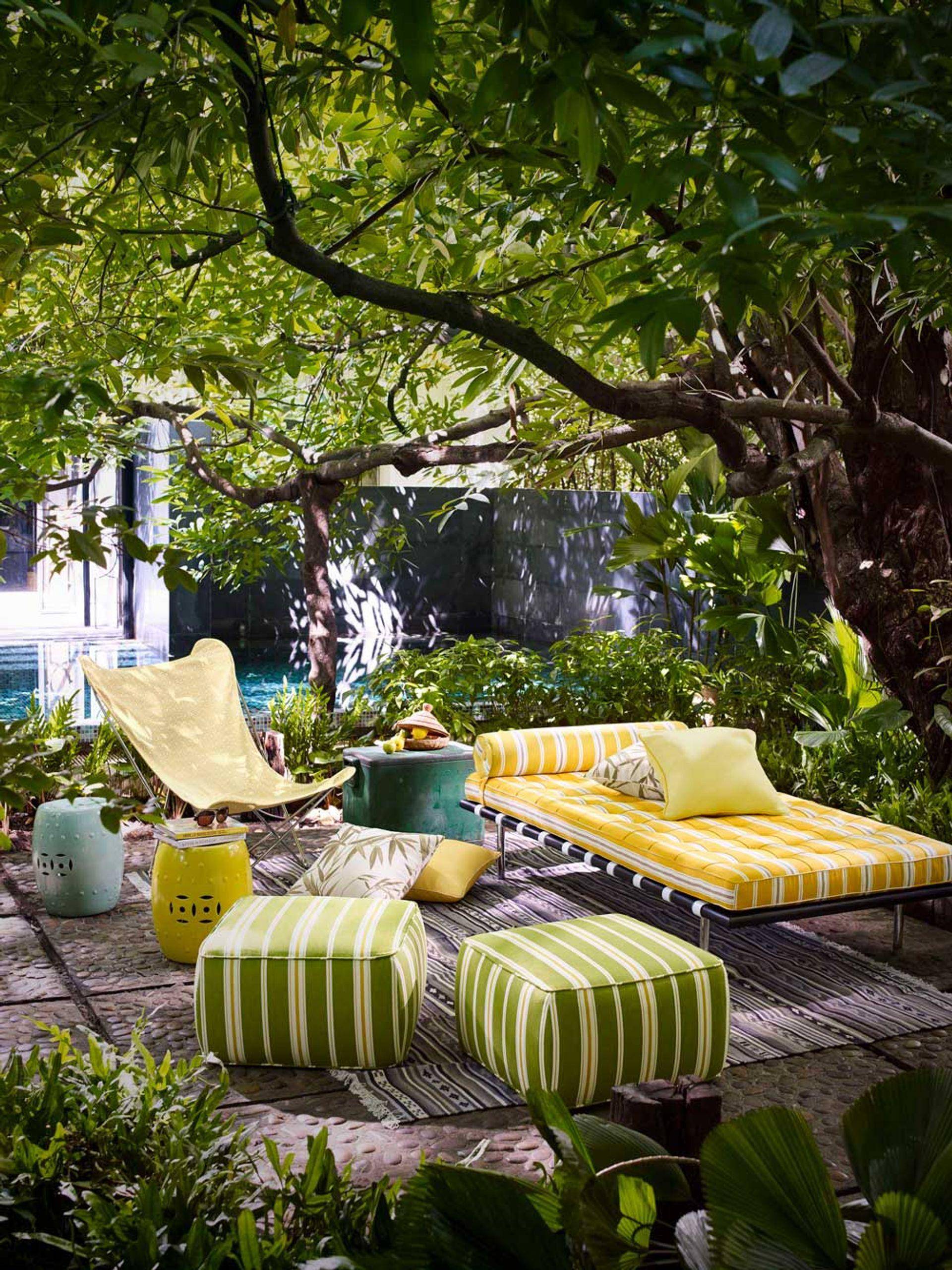 Jim Thompson Corsica 