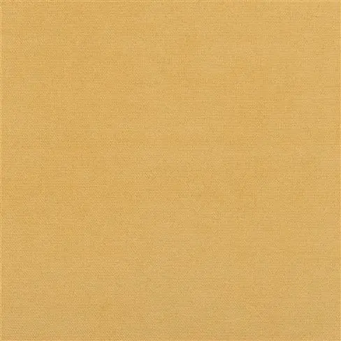 Ochre