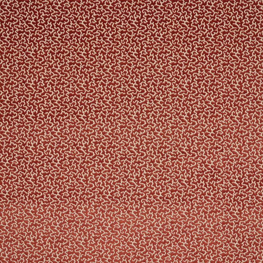 Manuel Canovas Drago