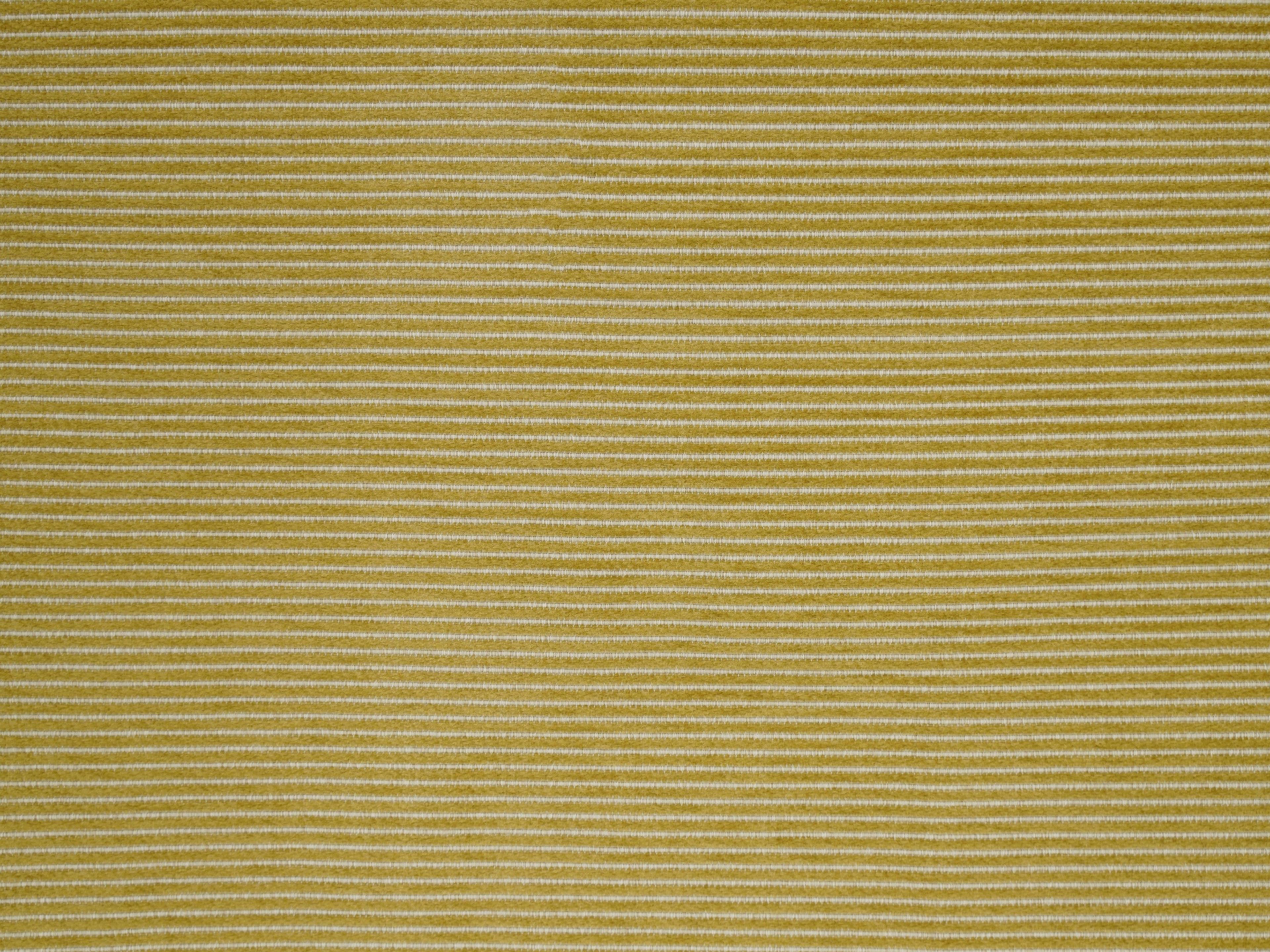 Jim Thompson Coastline