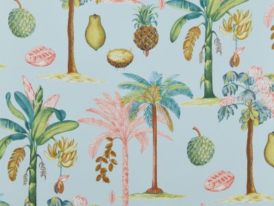 Travers Tropica