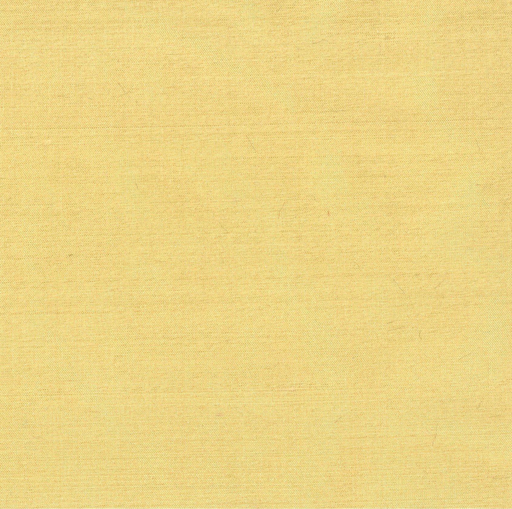 Maize