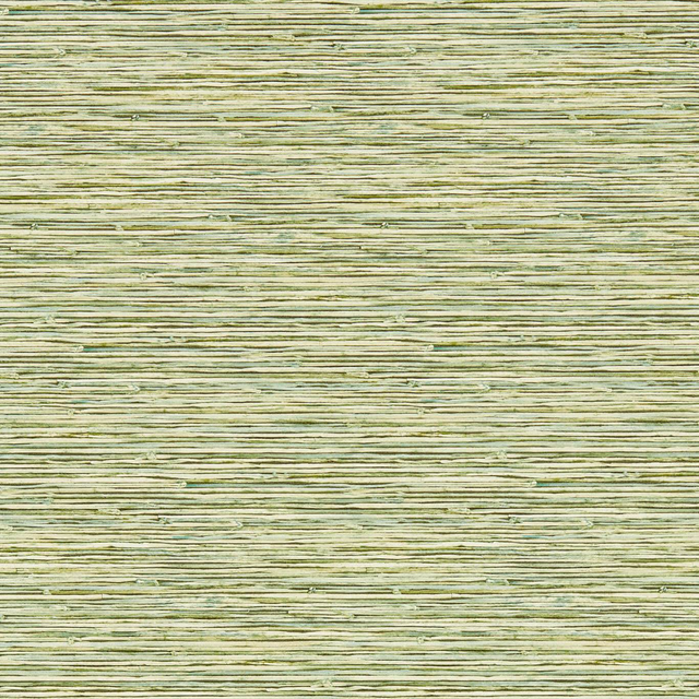 Palm