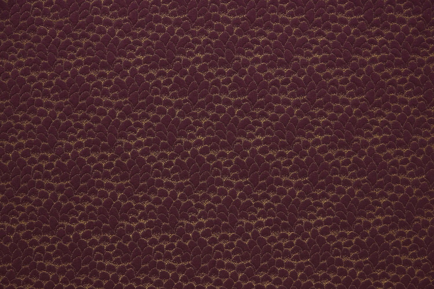 Lelievre Ecaille de Chine