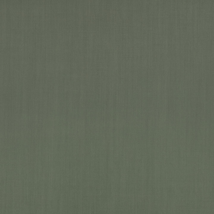 Eucalyptus