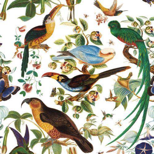 Gastón y Daniela Oaxaca