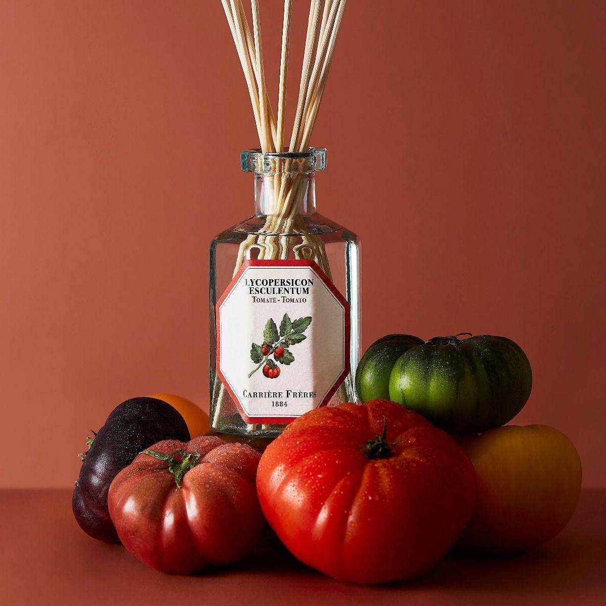 Carrière Frères Tomato (Lycopersicon Esculentum) Carrière Frères Tomato (Lycopersicon Esculentum)