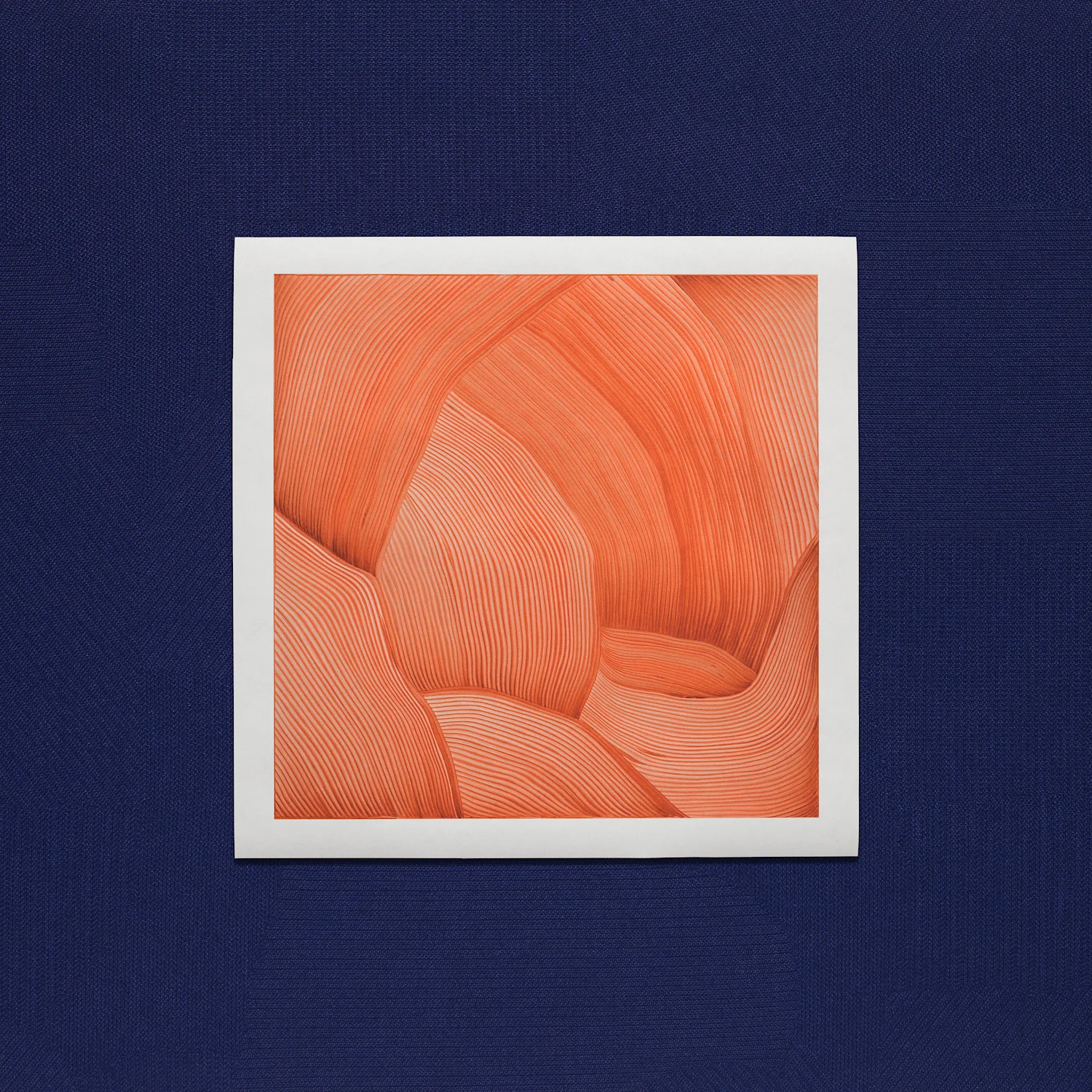 Kvadrat Sone