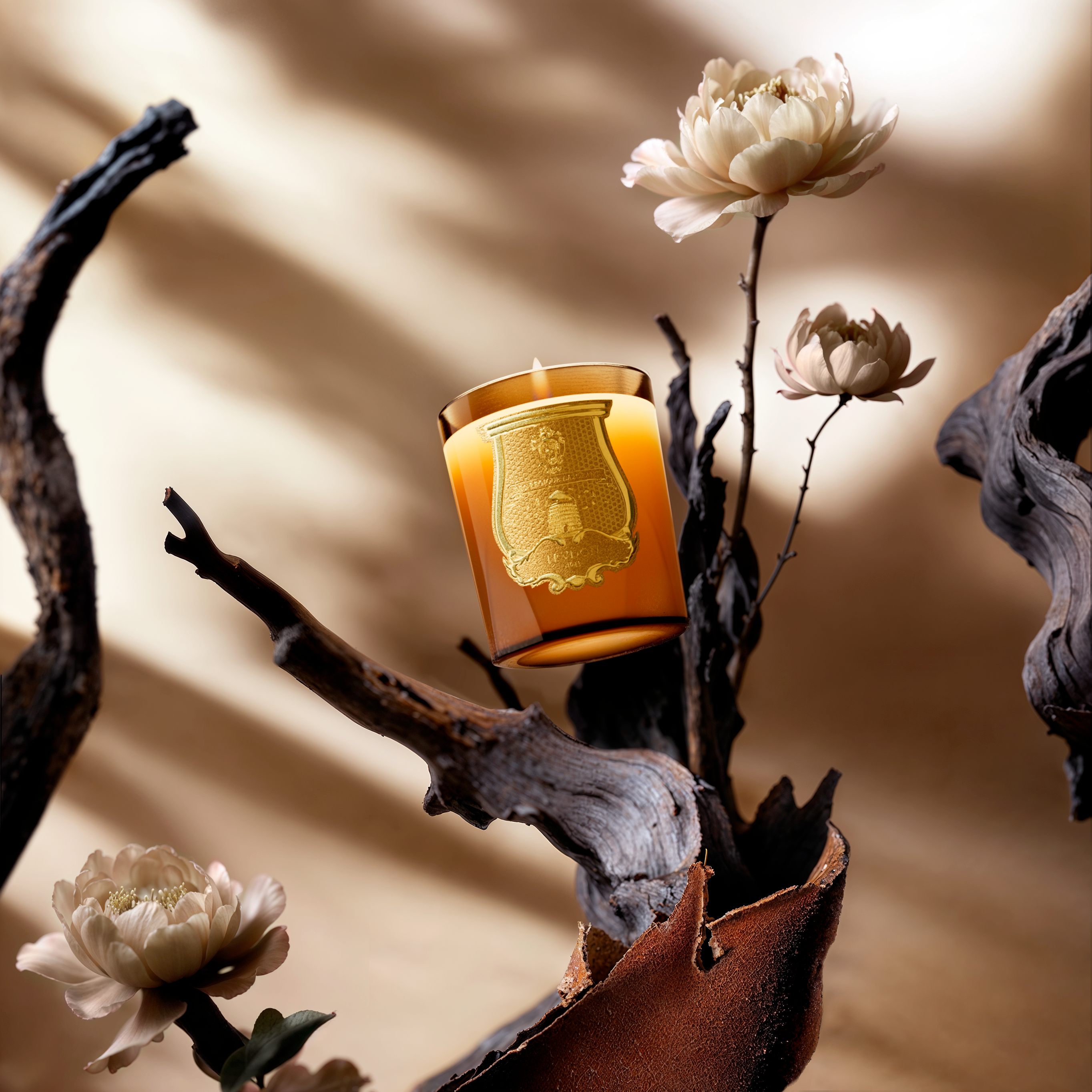 Trudon Altaïr