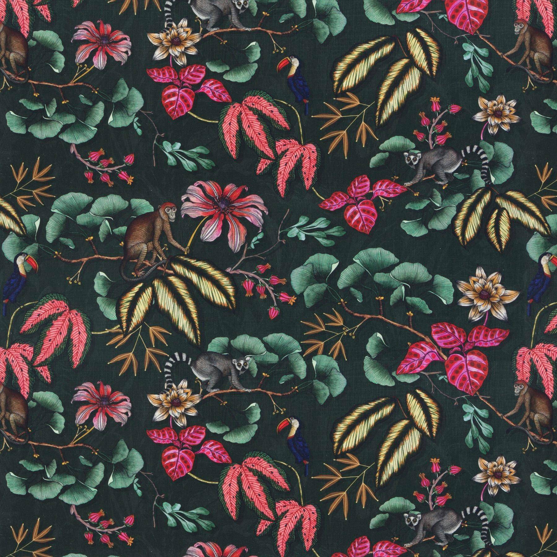 Chivasso Fantastic Madagascar