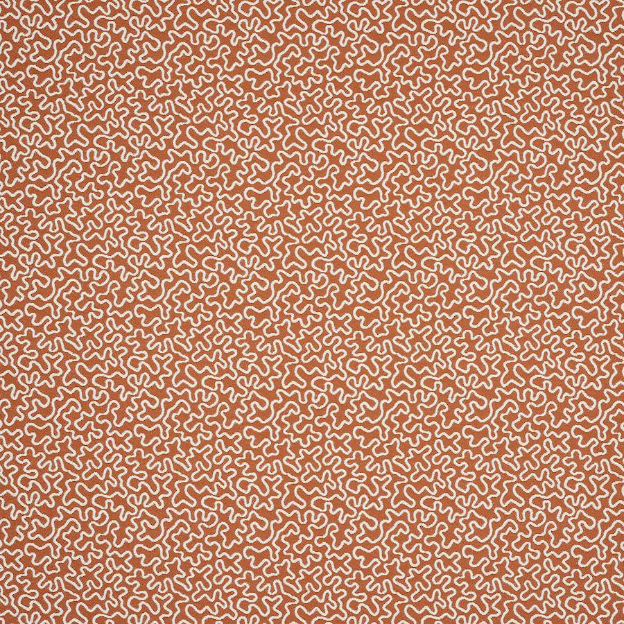 Manuel Canovas Corti