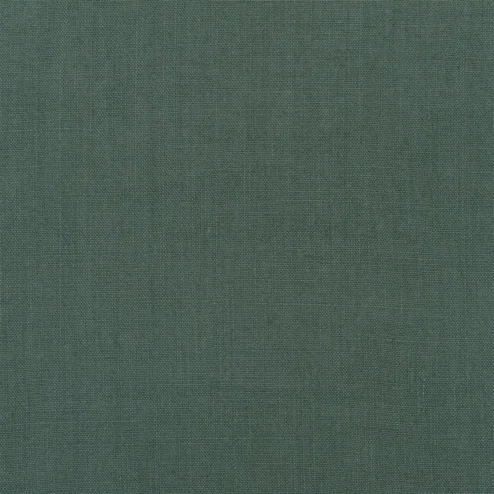 Cedar
