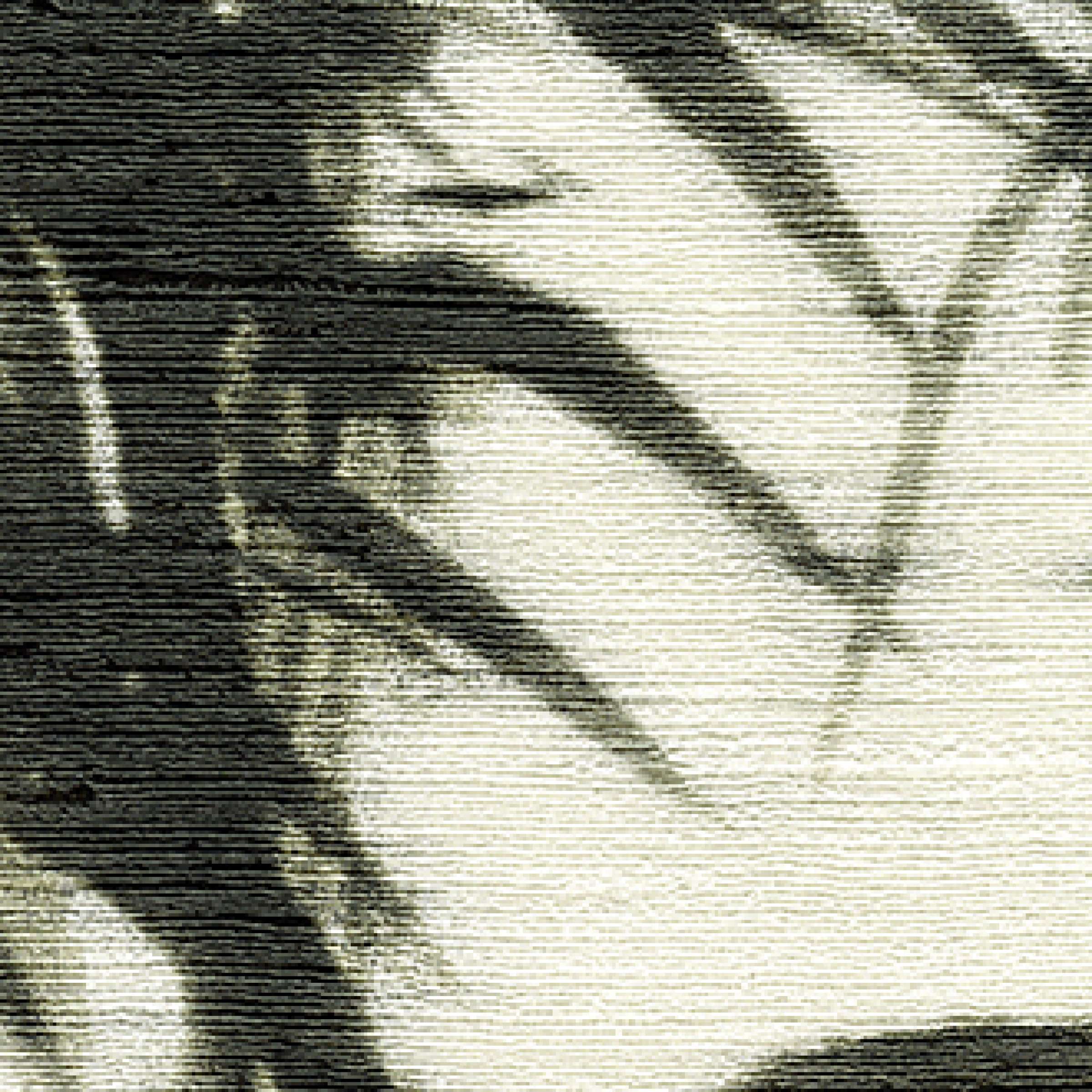 Entre tradition et modernité