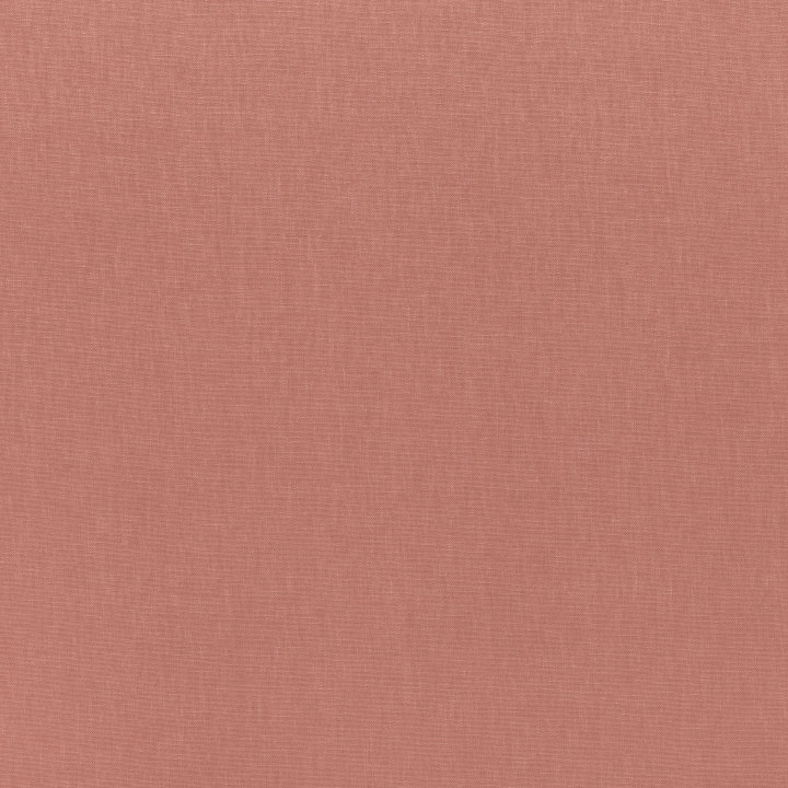 Pink Blush
