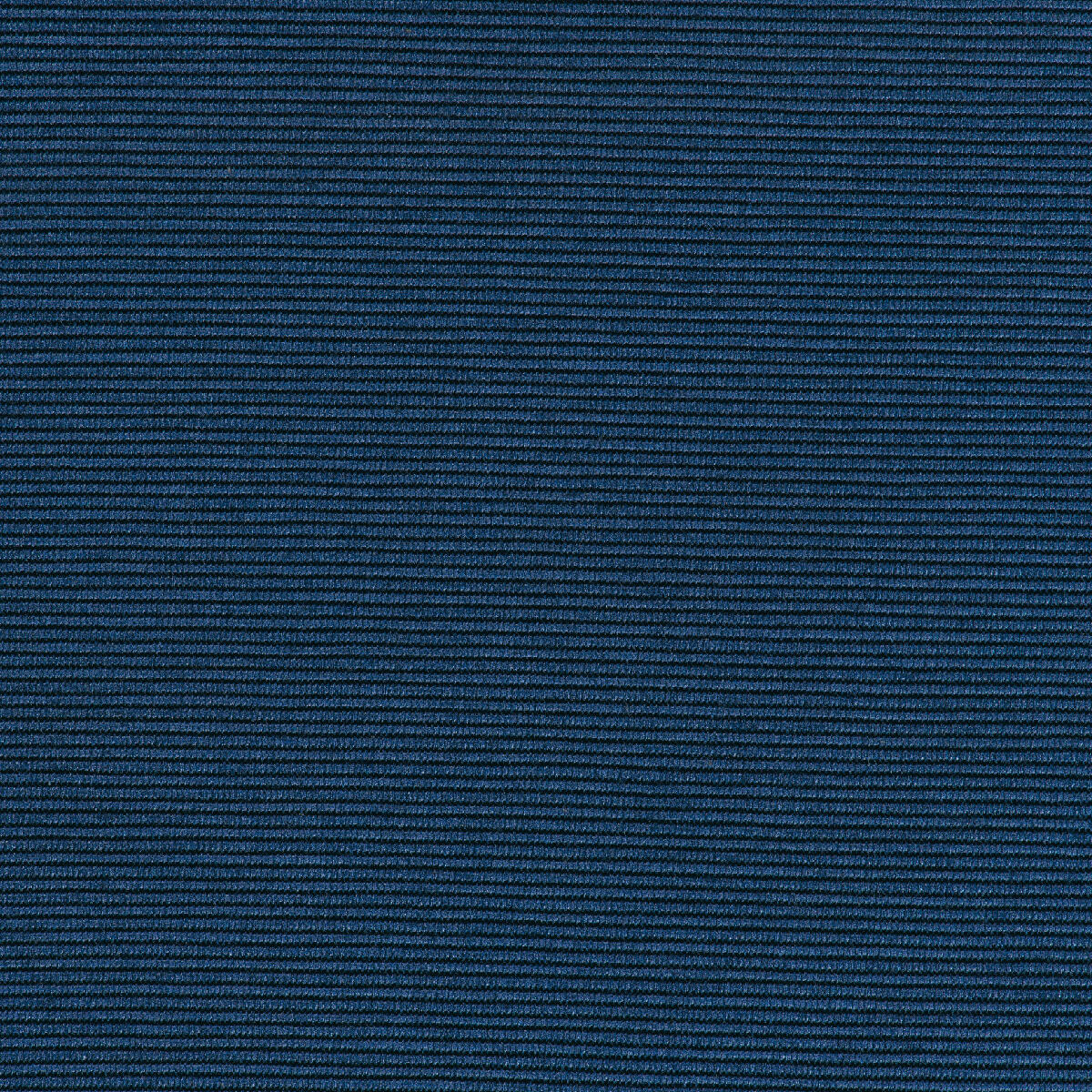 MYOSOTIS
