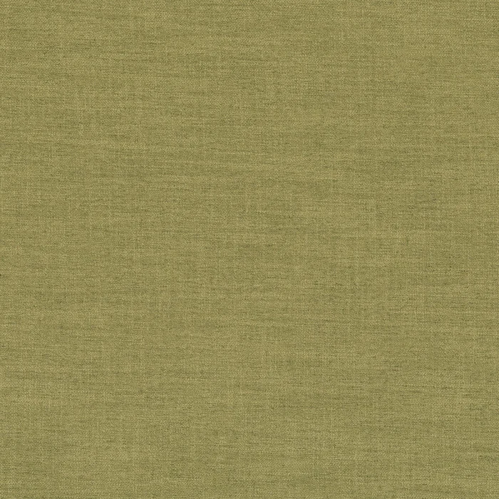Wasabi