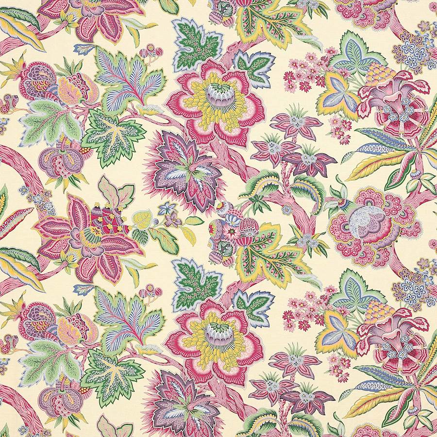 Manuel Canovas Mysore 